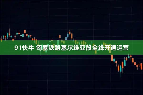 91快牛 匈塞铁路塞尔维亚段全线开通运营
