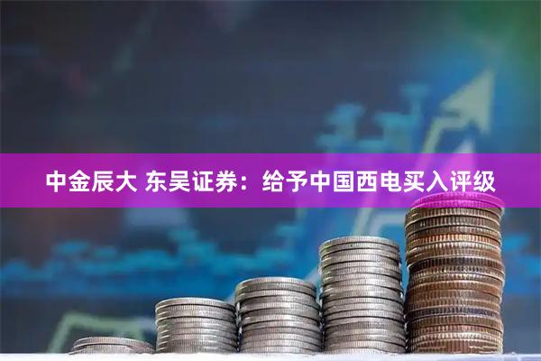 中金辰大 东吴证券：给予中国西电买入评级